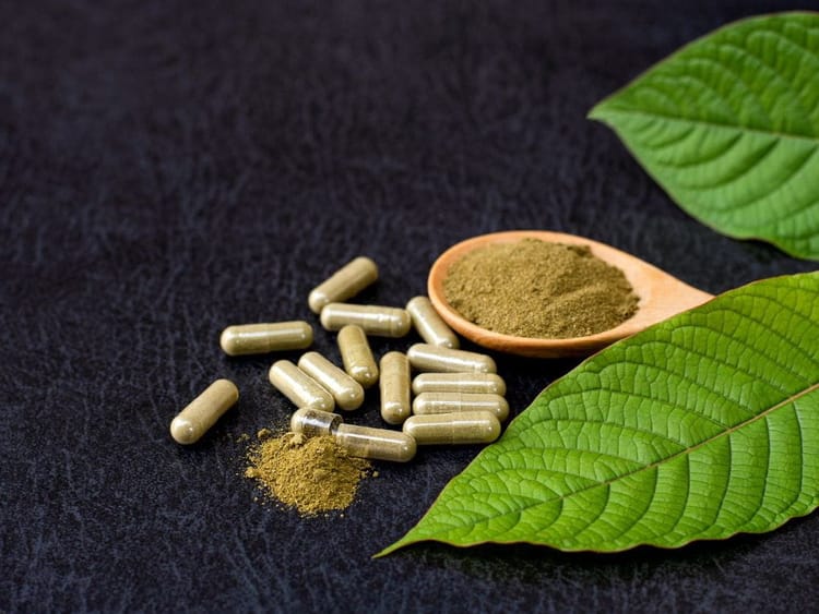 7 Tips To Remember Before Buying Kratom From An Online Store
