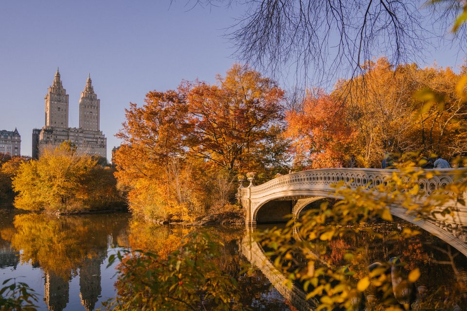 NYC - Central Park in Fall